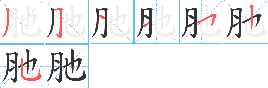 肔的笔顺分步演示