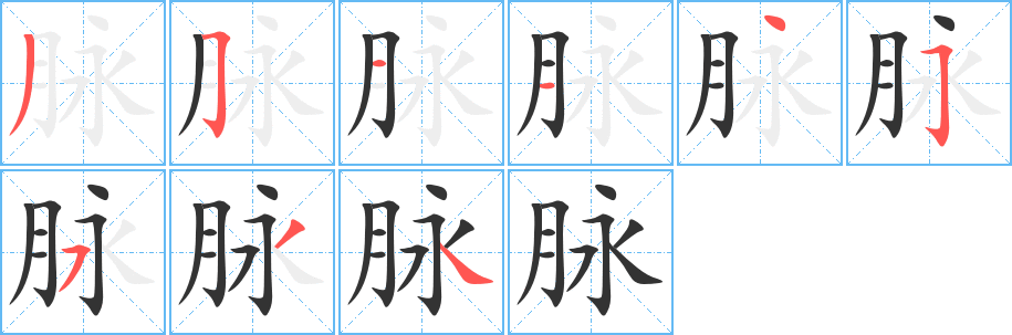 脉的笔顺分步演示