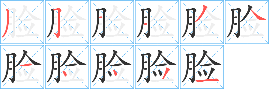 脸的笔顺分步演示