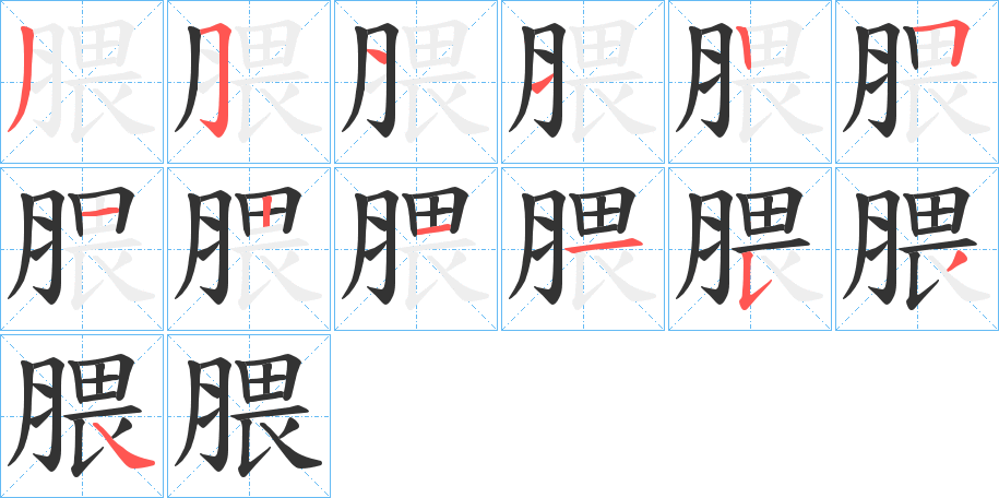 腲的笔顺分步演示