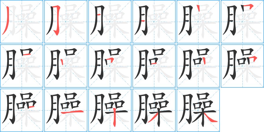 臊的笔顺分步演示