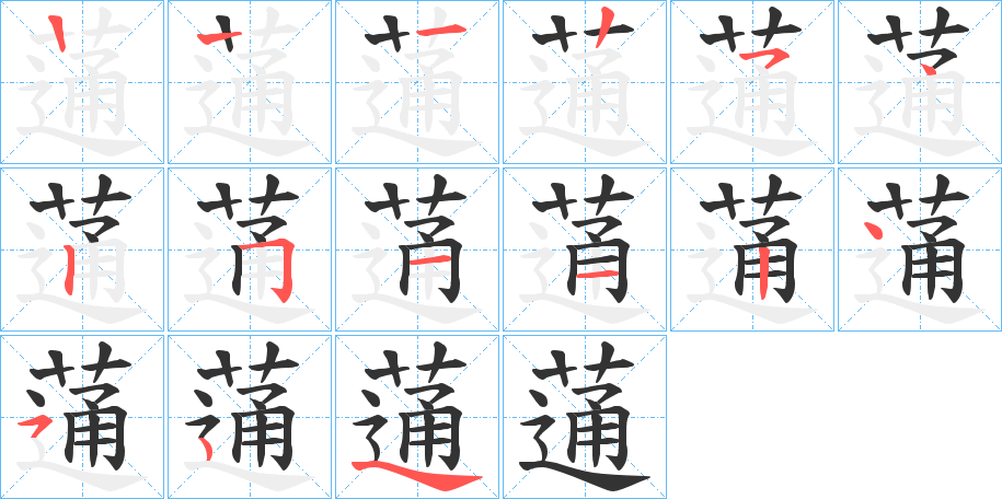 蓪的笔顺分步演示