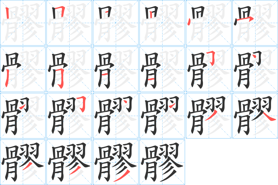 髎的笔顺分步演示