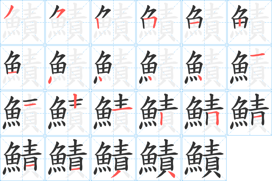 鰿的笔顺分步演示