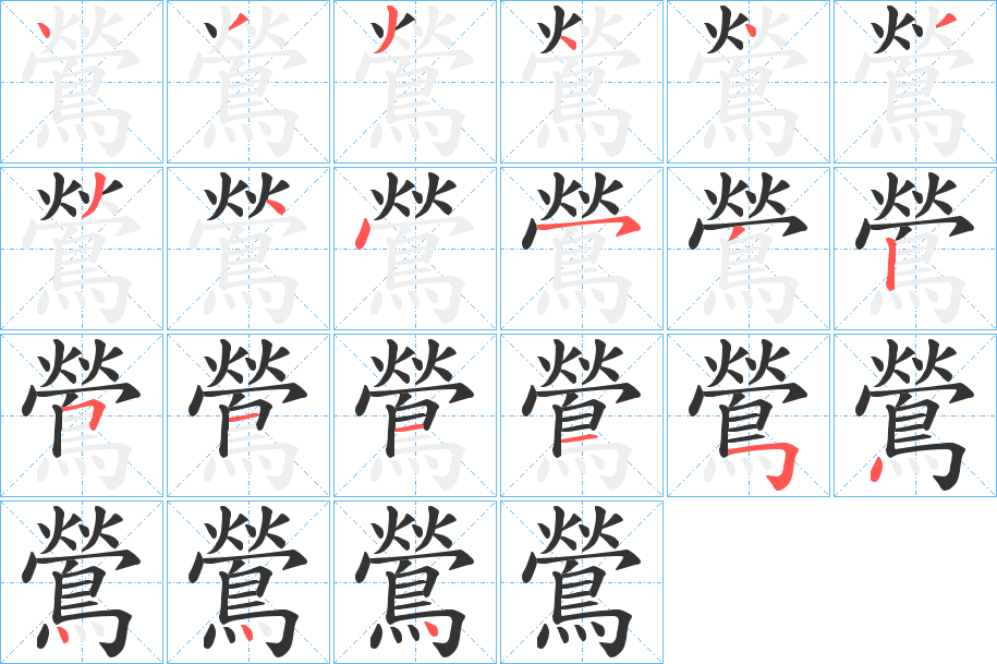 鶯的笔顺分步演示