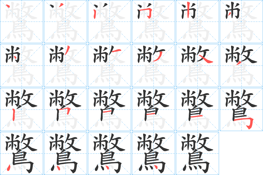 鷩的笔顺分步演示